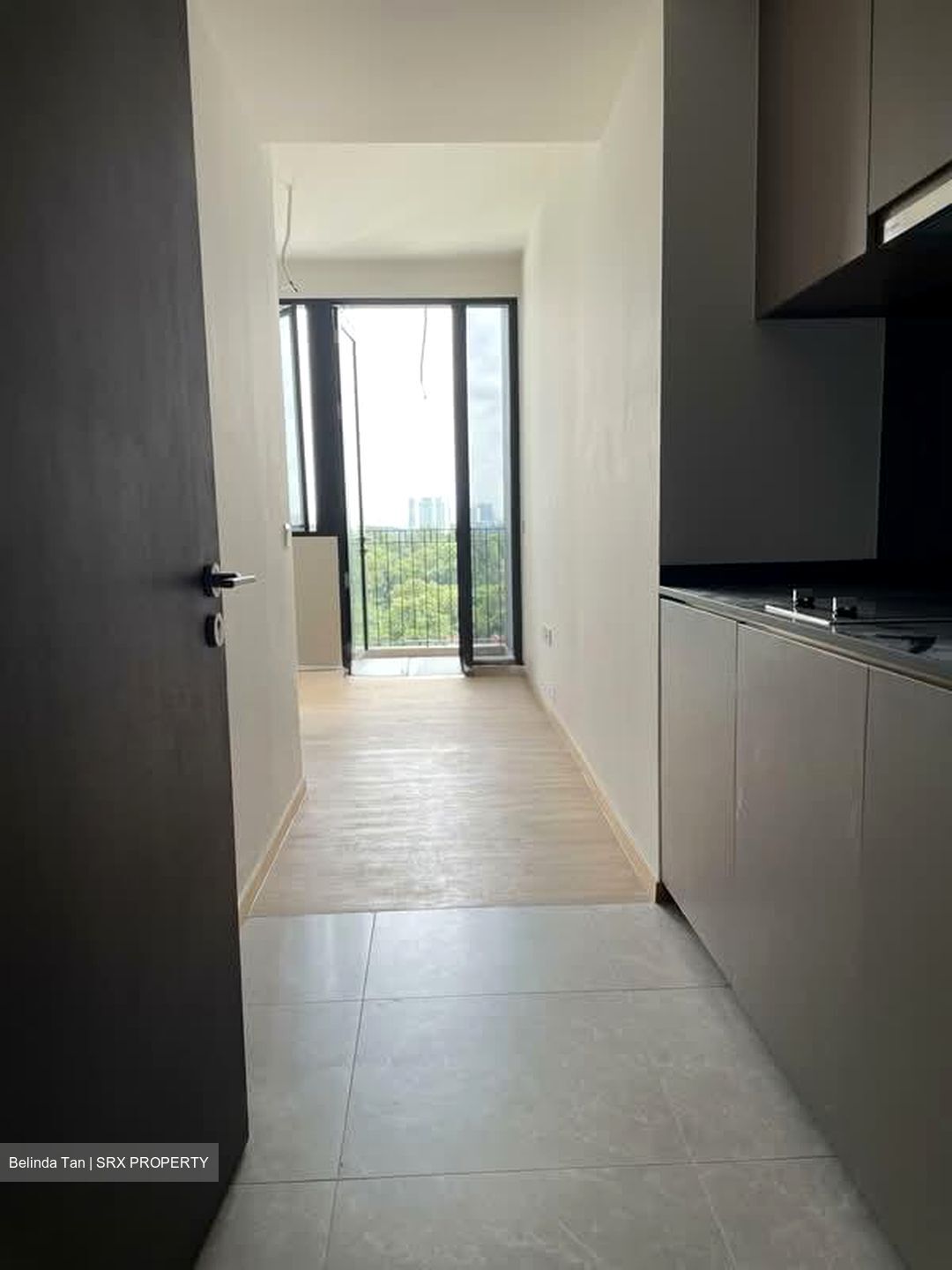 Park Colonial (D13), Condominium #578007131
